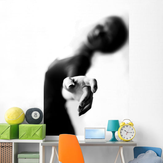 Ballet Dancer Wall Mural