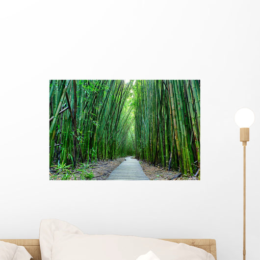Bamboo Forrest