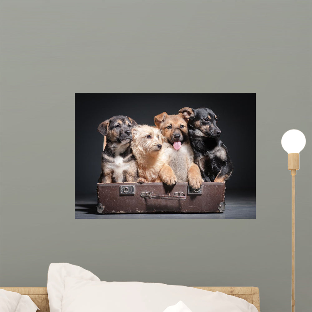 Dog Wall Mural Wallmonkeys