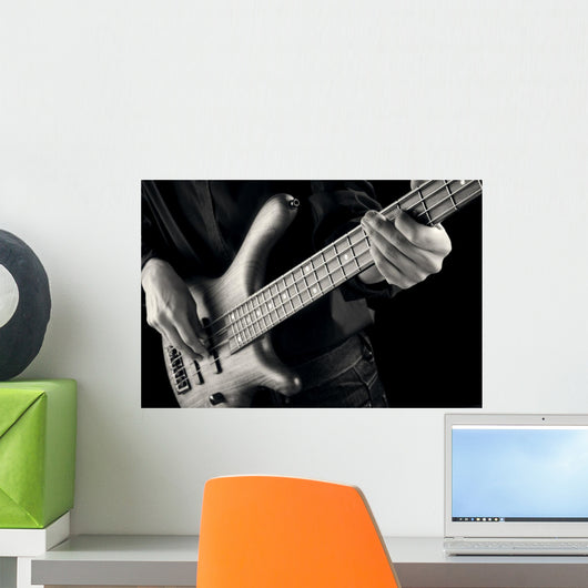 jazz bassist musical Wall Mural