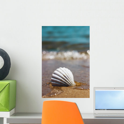 White Marine Shell Sand Wall Decal