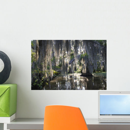 Bayou Swamp Scene with Spanish Moss Wall Mural