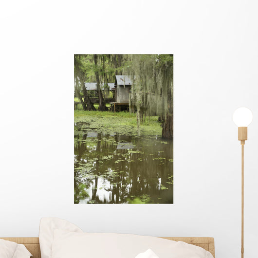 Swamp Bayou Scene of the American South Wall Mural