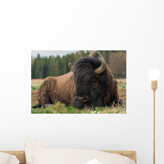 Natural Close-up Photo Big Wall Decal