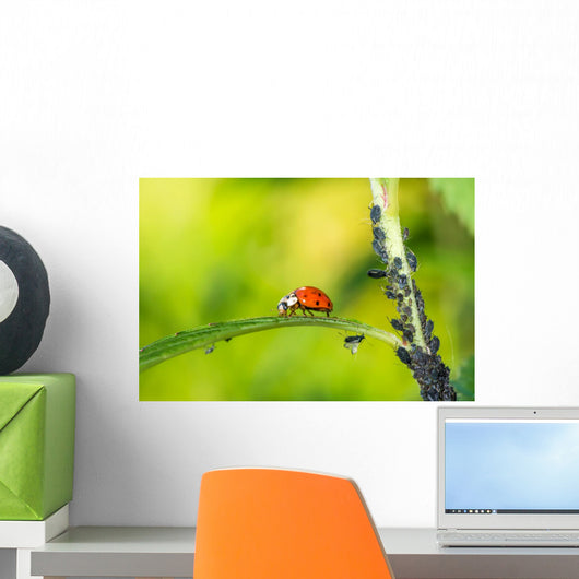 Biological Pest Control Wall Mural