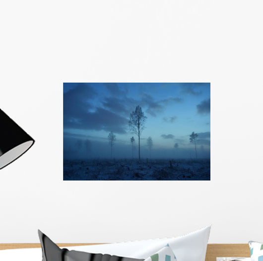 Deforested area at twilight, clouds in the sky Wall Decal