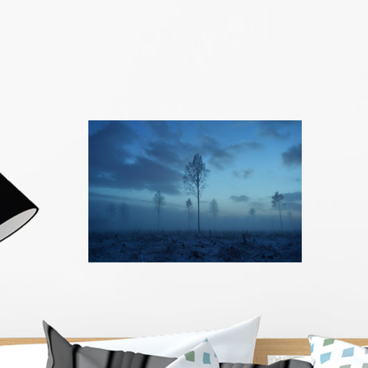 Deforested area at twilight, clouds in the sky Wall Decal
