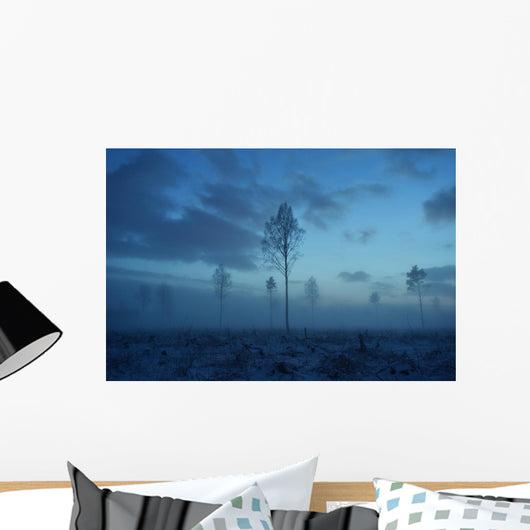 Deforested area at twilight, clouds in the sky Wall Decal