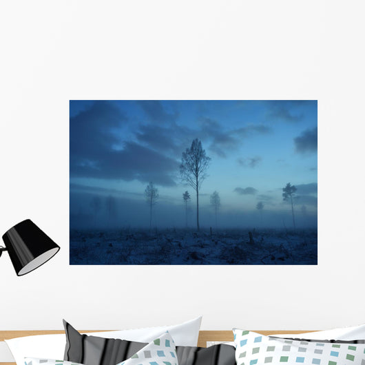 Deforested area at twilight, clouds in the sky Wall Decal