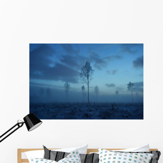 Deforested area at twilight, clouds in the sky Wall Decal