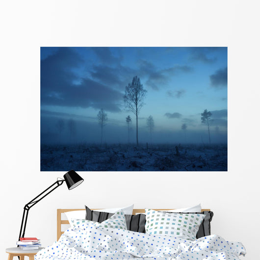 Deforested area at twilight, clouds in the sky Wall Decal