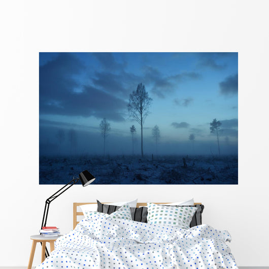 Deforested area at twilight, clouds in the sky Wall Decal