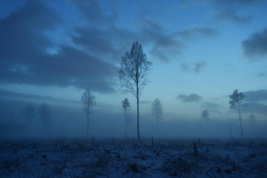 Deforested area at twilight, clouds in the sky Wall Decal