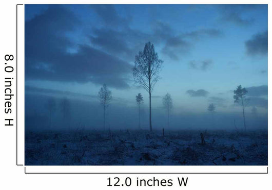 Deforested area at twilight, clouds in the sky Wall Decal