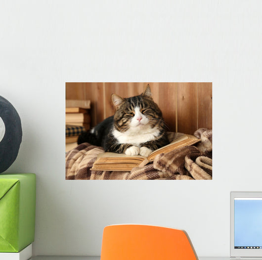 Cute cat lying with book on plaid Wall Decal