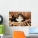 Cute cat lying with book on plaid Wall Decal