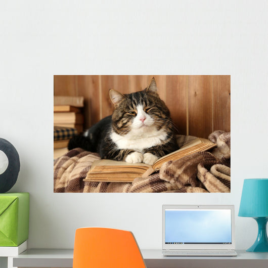 Cute cat lying with book on plaid Wall Decal
