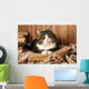 Cute cat lying with book on plaid Wall Decal