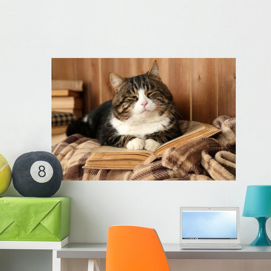 Cute cat lying with book on plaid Wall Decal