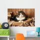 Cute cat lying with book on plaid Wall Decal