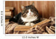 Cute cat lying with book on plaid Wall Decal