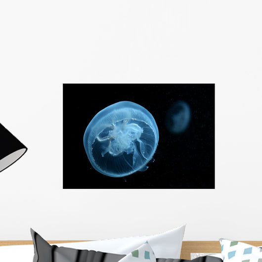 Moon Jellyfish Wall Decal