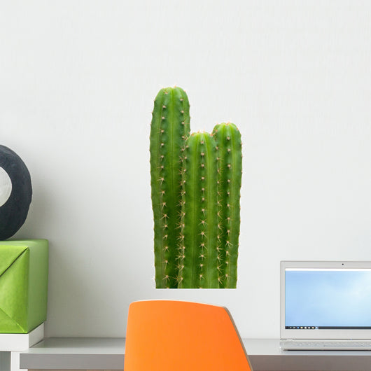 Group of San Pedro cacti (Echinopsis pachanoi) Wall Decal