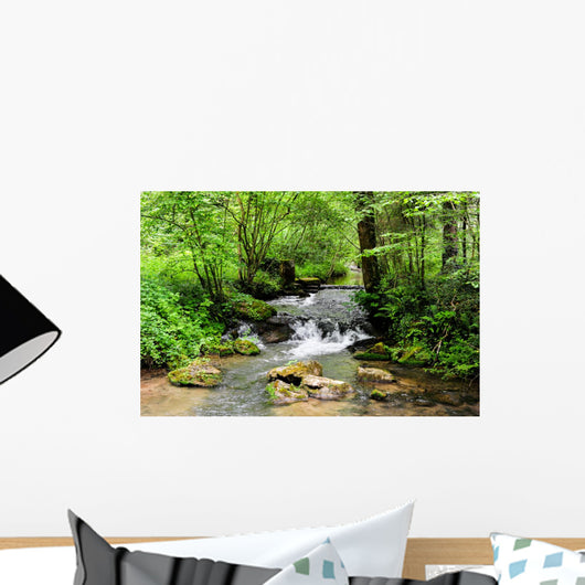 A river scene from the beautiful trekking paths of Ardennes area Wall Decal