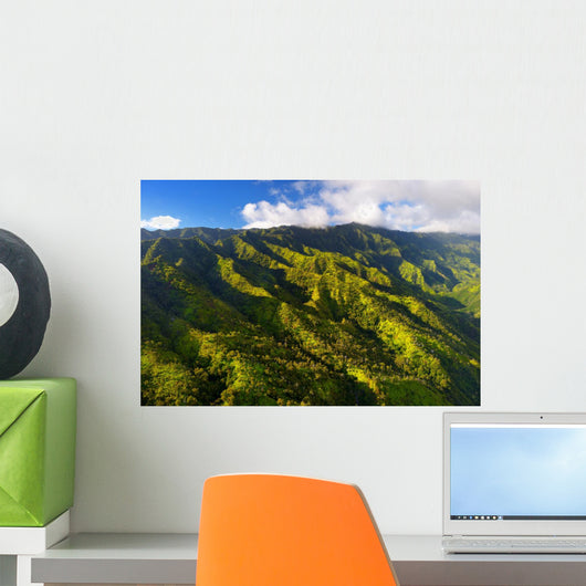 Aerial Jungles Wall Decal