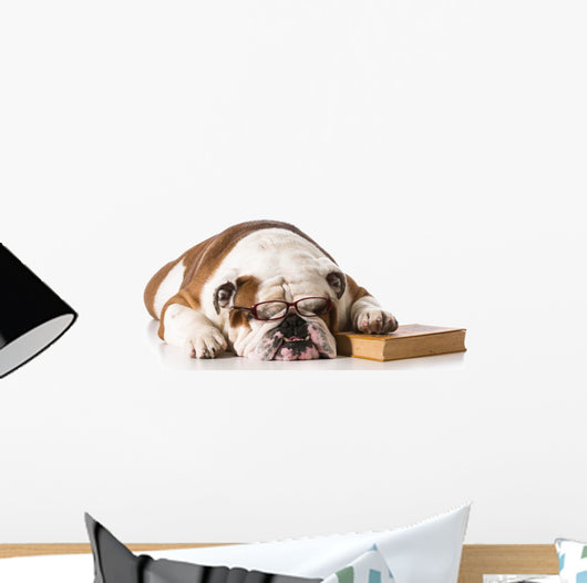 bulldog smart dog Wall Decal