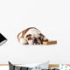 bulldog smart dog Wall Decal