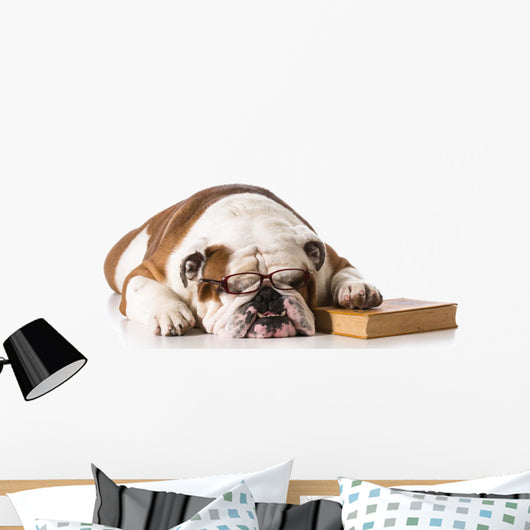 bulldog smart dog Wall Decal