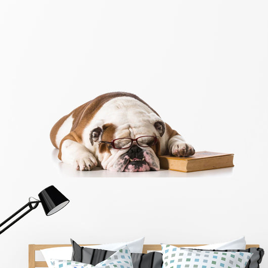 bulldog smart dog Wall Decal