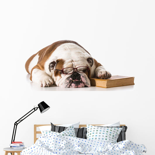 bulldog smart dog Wall Decal