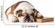 bulldog smart dog Wall Decal