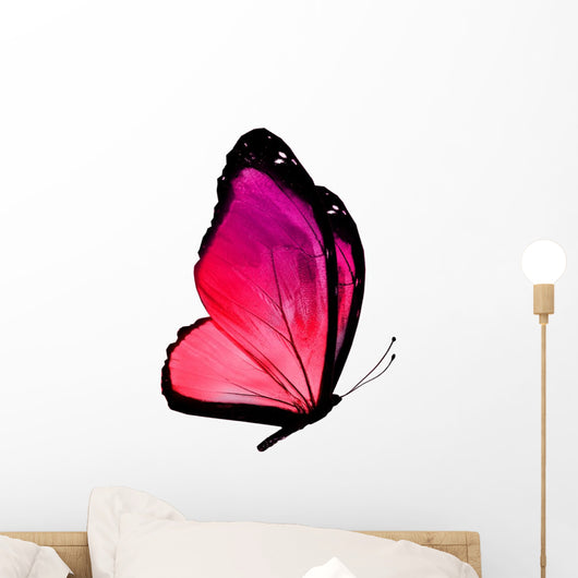 pink butterfly Wall Decal
