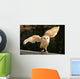 Barn Owl 2 Wall Decal