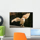 Barn Owl 2 Wall Decal