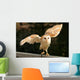 Barn Owl 2 Wall Decal