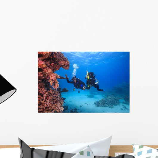 Diver Red Sea Egypt Wall Decal
