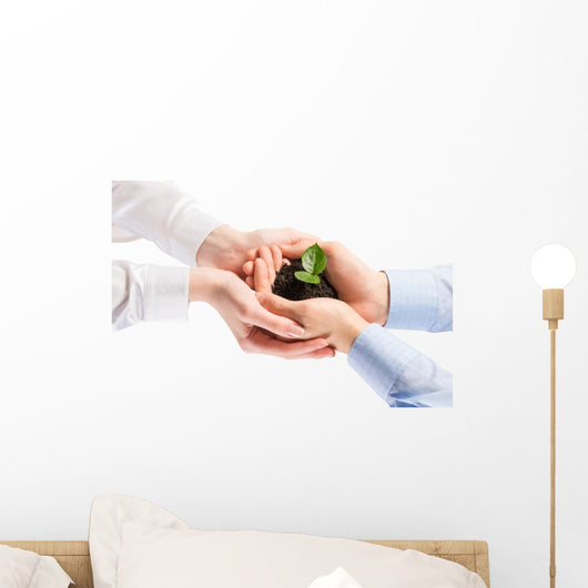 Sprout in hands Wall Decal