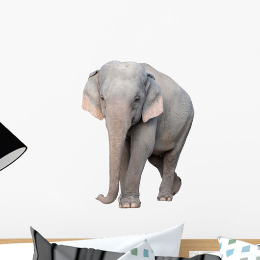asia elephant Wall Decal