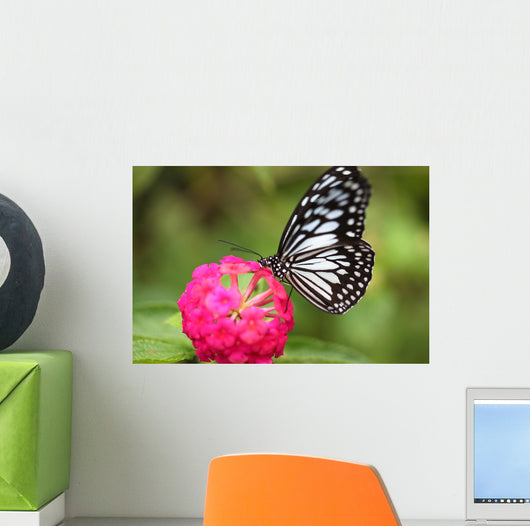 butterfly on the Island of Bohol Wall Decal
