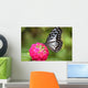 butterfly on the Island of Bohol Wall Decal