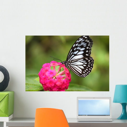 butterfly on the Island of Bohol Wall Decal