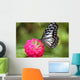 butterfly on the Island of Bohol Wall Decal