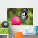 butterfly on the Island of Bohol Wall Decal