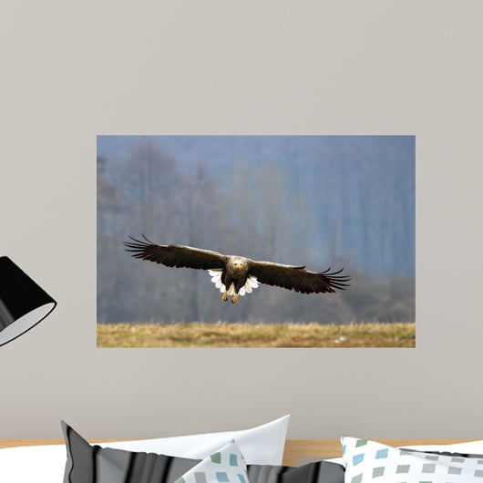 Offensive Attack Seeadler Wall Decal