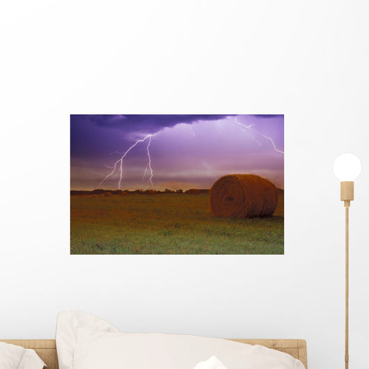 Lightning Over A Field Wall Mural