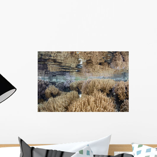 Shallow Reef Calm Water Wall Decal